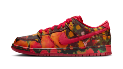 NIKE SB DUNK LOW PRO WIZARD OF OZ